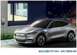 CEO Ford tiết lộ thông tin hãng đang xem xét tự sản xuất pin EV