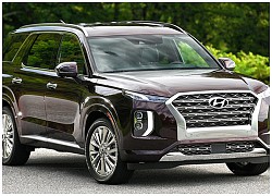 Xe Hyundai Palisade hôi do vật liệu giả da