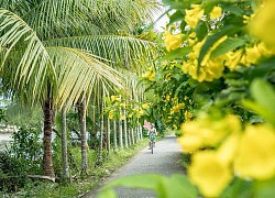 Cần Thơ: 'Đô thị miền sông nước' lan tỏa hình ảnh an toàn và ấm áp