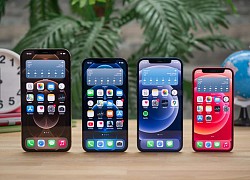 iPhone 13 sẽ lại phân cấp màn hình như iPhone 12 vì lý do này?