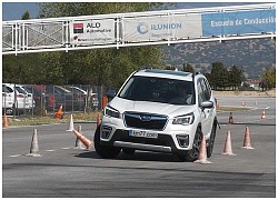 Subaru Forester thử sức bài test đánh lái và kết quả bất ngờ