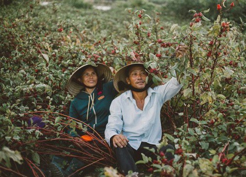 Ngất lịm trước chuyện ngôn tình của phụ huynh: Với ba, mẹ là hoa hậu