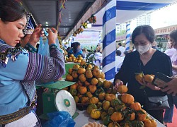 Quýt ngọt, gạo Séng Cù, bưởi Múc Mường Khương "đổ bộ" về Thủ đô, người dân háo hức mua ăn thử