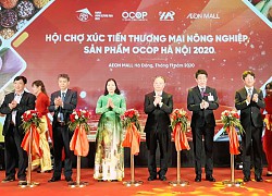 Xúc tiến thương mại tiêu thụ nông sản an toàn TP Hà Nội 2020