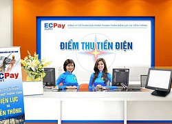 3 năm "gồng lỗ" liên tiếp của ECPay