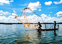 Anh chàng đánh cá may mắn nhất năm: Cá tự nhảy từ dưới sông lên thuyền, không làm mà vẫn có ăn như thật!