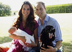 Cặp đôi Hoàng gia được yêu thích nhất William và Kate Middleton gặp sự cố đau lòng