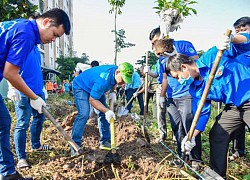 Chung tay cải thiện môi trường sống