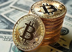 Giá Bitcoin hôm nay 23/11: Đứt mạch tăng sốc, Bitcoin giảm sâu