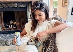 Hoa hậu Priyanka Chopra cho thú cưng dùng túi LV, bát ăn Hermès