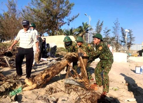 Hưởng ứng chiến dịch "Hãy làm sạch biển"