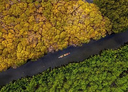 Kể chuyện về đa dạng sinh học qua nhiếp ảnh