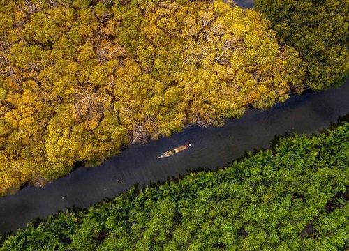 Kể chuyện về đa dạng sinh học qua nhiếp ảnh