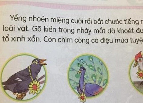 Sách Tiếng Việt lớp 1 của Nhà Xuất bản Giáo dục Việt Nam: Sử dụng ngữ liệu cẩu thả, tùy tiện?