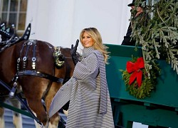 Melania nhận cây thông Giáng sinh Nhà Trắng