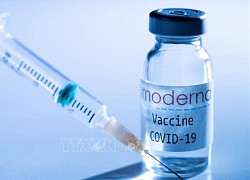 Moderna cam kết cung cấp cho EU 160 triệu liều vaccine ngừa COVID-19