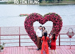 Ngắm vẻ đẹp tĩnh lặng của 'Đà Lạt thu nhỏ' giữa lòng Quảng Ninh