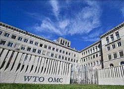 WTO trước nhu cầu cải tổ để phù hợp với tình hình mới