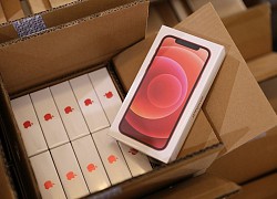 Bên trong kho hàng iPhone 12 trước giờ mở bán tại Việt Nam