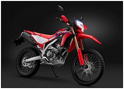 Bộ đôi Honda CRF250L và CRF250L Rally 2021 chính thức ra mắt