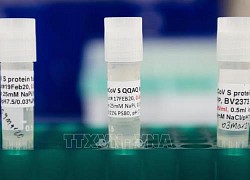 Giới chuyên gia đánh giá về độ an toàn của các vaccine phòng COVID-19 tiềm năng