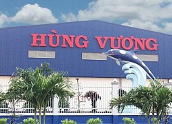 HVG: Thaco bán ra, lãnh đạo Hùng Vương mua vào