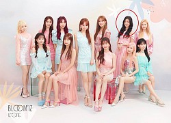 IZ*ONE tung ảnh teaser comeback, Knet khen chê lẫn lộn nhưng khẳng định: "CJ nếu còn lương tâm thì nên cho nhóm tan rã đi!"