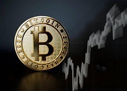 Thất bại trước ngưỡng cản lịch sử, Bitcoin và toàn thị trường tiền số đồng loạt "gãy cánh" sau chuỗi ngày bay cao