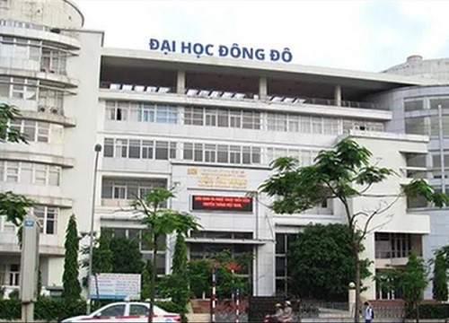 Trí thức giả