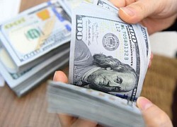 Tỷ giá USD hôm nay 27/11: USD phục hồi nhẹ từ đáy