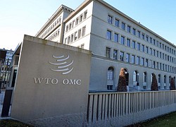 WTO kêu gọi các nước thúc đẩy cải cách ứng phó với những thách thức toàn cầu mới