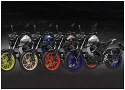 Yamaha MT-15 2021 bổ sung thêm gói tùy chọn 11 màu sắc