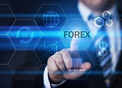 Cần một cuộc truy quét các sàn forex lừa đảo