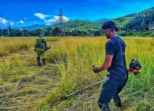 Chàng trai đi bộ xuyên Việt với 0 đồng