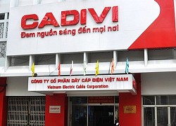 Dây cáp điện Việt Nam (CAV) sắp chi gần 58 tỷ đồng tạm ứng cổ tức 2020