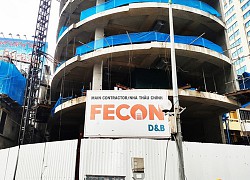 Fecon sắp phát hành gần 6 triệu cổ phiếu trả cổ tức năm 2019