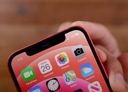 iPhone 12 mất sóng hàng loạt