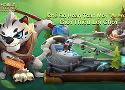 Mobile Legends: Bang Bang VNG mở sự kiện đua Top BXH chế độ chơi mới 1v1 Arena