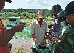 Ông nông dân tỉnh Phú Yên nuôi 40 vạn con ốc gì mà vớt 1 rổ lên khách đến xem trầm trồ thán phục?