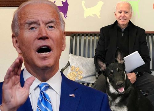 "Thủ phạm" khiến ông Biden bị rạn xương chân sẽ có vai trò quan trọng ở Nhà Trắng