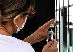 WHO xem xét phê duyệt vaccine Pfizer