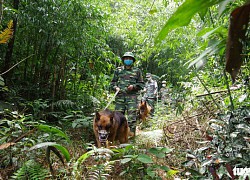 3 ngày, 343 người nhập cảnh trái phép vào Việt Nam, số đông từ Trung Quốc về