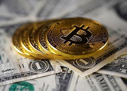 Bitcoin lập tiếp đỉnh cao mới: Vượt 28.000 USD