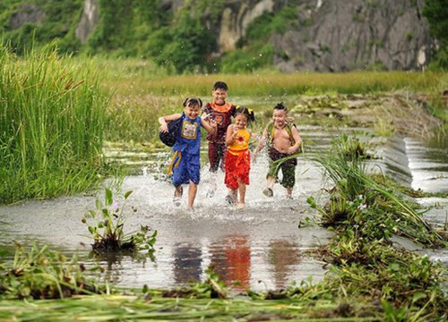 'Cha đẻ' Thần đồng Đất Việt phản đối gay gắt 'Trạng Tí' của Ngô Thanh Vân, dấy lên làn sóng tẩy chay phim