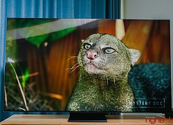 Chọn TV đón tết: Samsung 8K QLED Q950TS 2020 tốt nhất?