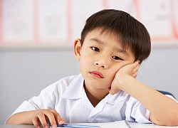 Hỏi: "Chia đều 17 con ngựa cho 3 người?", đáp án thông minh của cậu nhóc khiến giáo viên cười lăn, còn bà mẹ thì "chua mặt" quá!