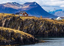 Iceland - Quốc gia chỉ có một con muỗi