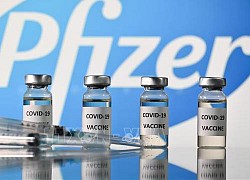 Pfizer bàn giao vaccine ngừa COVID-19 cho 8 quốc gia EU muộn hơn kế hoạch