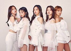 Sau EXID, Shinsadong Tiger hợp tác cùng Universal Music Group cho ra mắt nhóm nữ mới