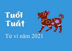 Tử vi người tuổi tuất năm 2021: sự nghiệp gặp nhiều biến động, trong họa có phúc